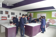 Biology-Lab-5