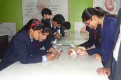 Biology-Lab